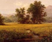马丁 约翰逊 赫德 : The Meadow